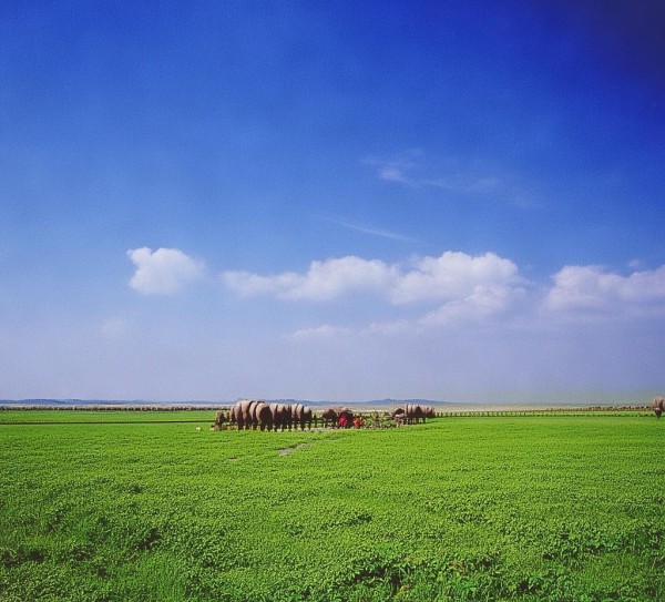 禹城,黄河流域自动化机械设备发展的重要引擎 禹城,黄河流域自动化机械设备发展的重要引擎